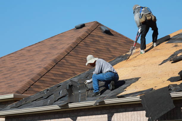 Best Roofing for New Construction  in Rainsville, AL