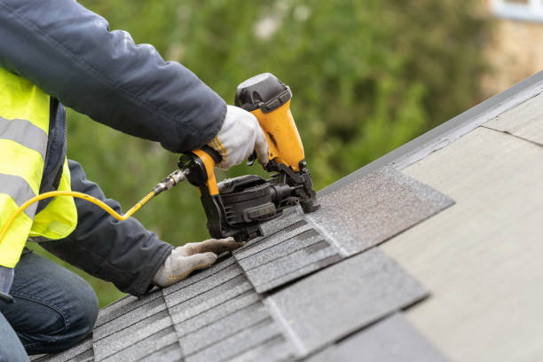 Best Asphalt Shingle Roofing  in Rainsville, AL