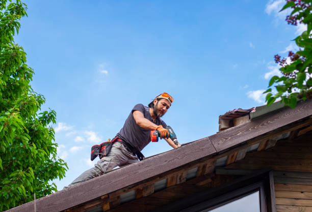 Best Sheet Metal Roofing  in Rainsville, AL
