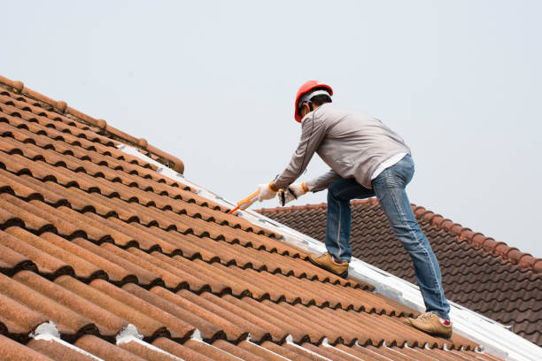 Best Hot Roofs  in Rainsville, AL