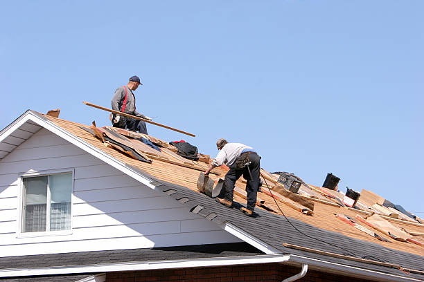 Best Emergency Roof Repair Services  in Rainsville, AL