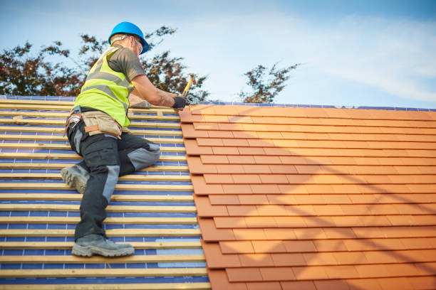 Best Roof Leak Repair  in Rainsville, AL