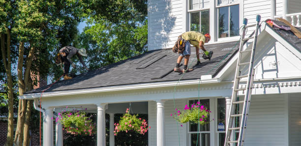 Best Chimney Flashing Repair  in Rainsville, AL
